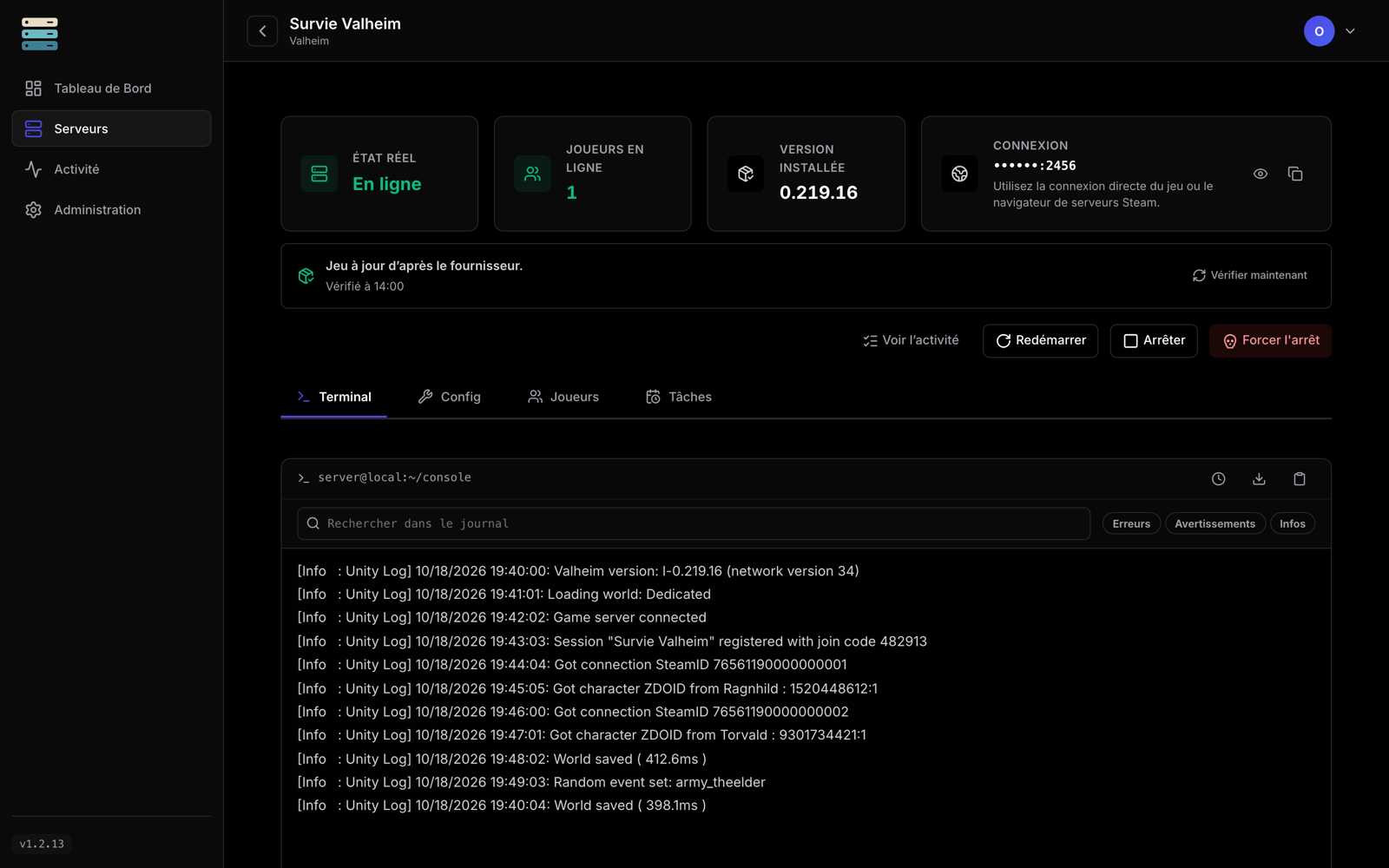 Fiche d'un serveur Valheim fictif : état, joueurs, version, connexion masquée et console en temps réel.